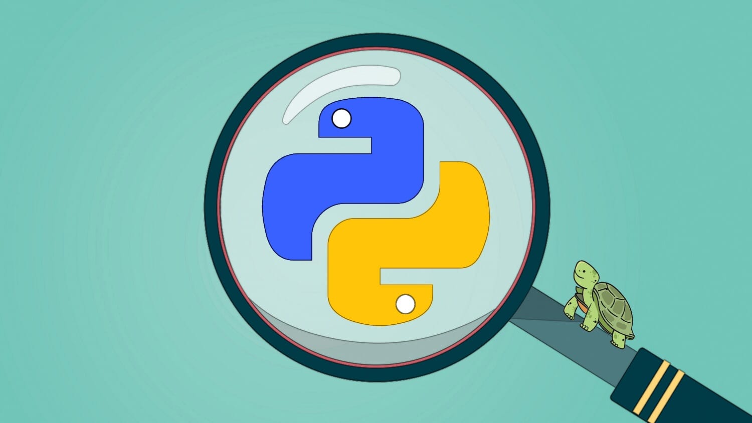 Python & Turtle: A Practical Guide for Beginners and Beyond